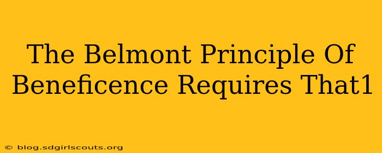 The Belmont Principle Of Beneficence Requires That1
