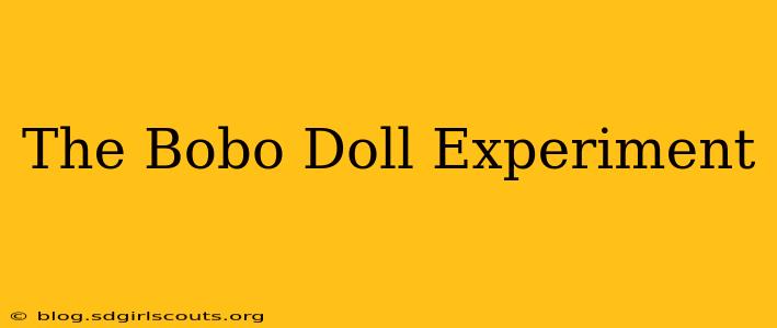 The Bobo Doll Experiment