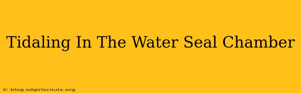 Tidaling In The Water Seal Chamber