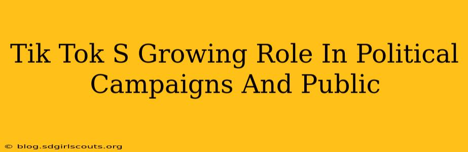 Tik Tok S Growing Role In Political Campaigns And Public