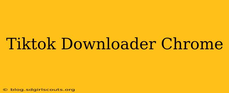 Tiktok Downloader Chrome