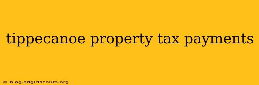 tippecanoe property tax payments