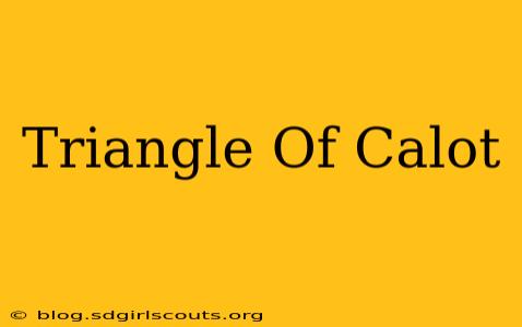 Triangle Of Calot