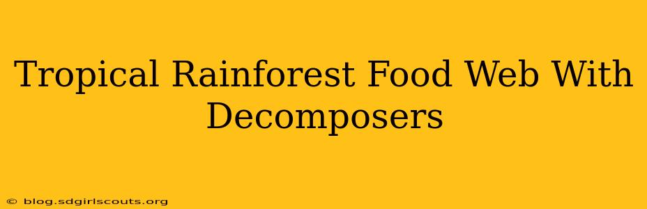 Tropical Rainforest Food Web With Decomposers