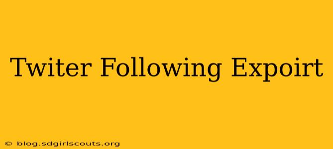Twiter Following Expoirt