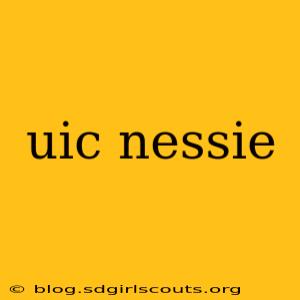 uic nessie