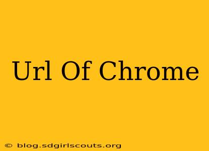 Url Of Chrome