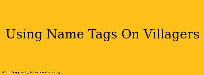 Using Name Tags On Villagers