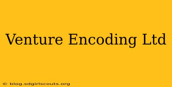 Venture Encoding Ltd