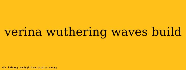 verina wuthering waves build