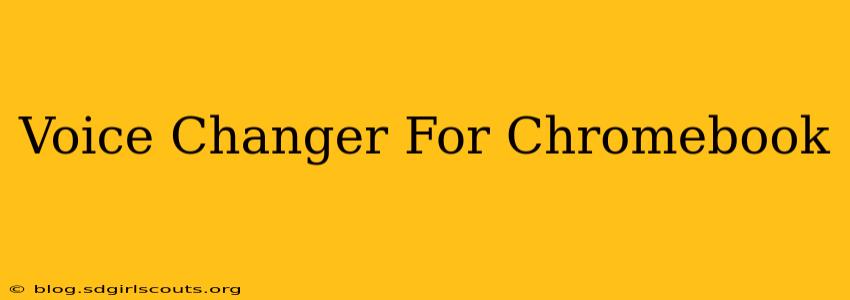 Voice Changer For Chromebook