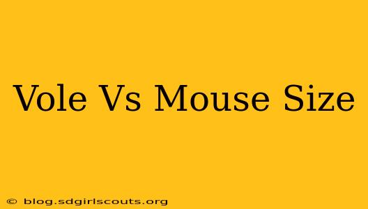 Vole Vs Mouse Size