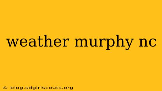 weather murphy nc