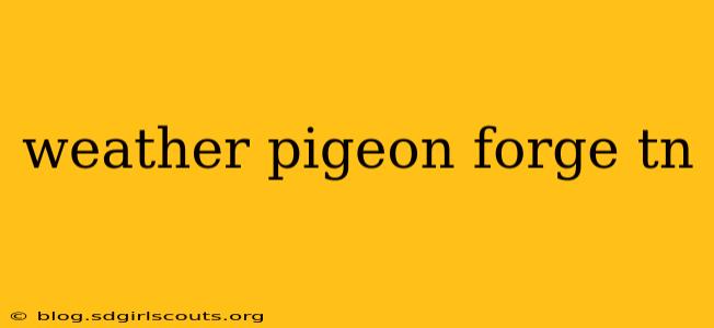 weather pigeon forge tn