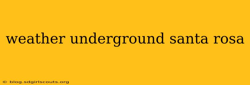 weather underground santa rosa