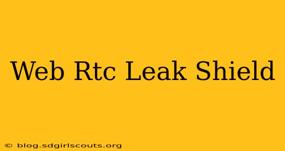 Web Rtc Leak Shield