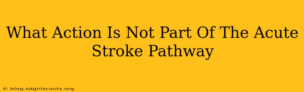 What Action Is Not Part Of The Acute Stroke Pathway