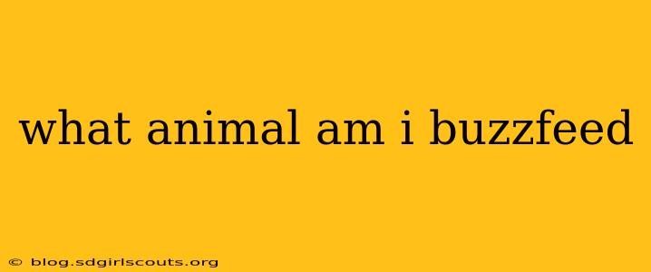 what animal am i buzzfeed