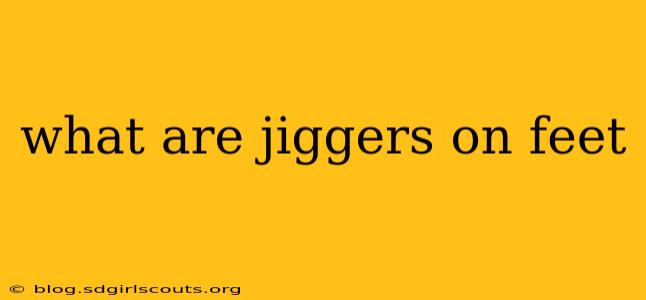 what are jiggers on feet