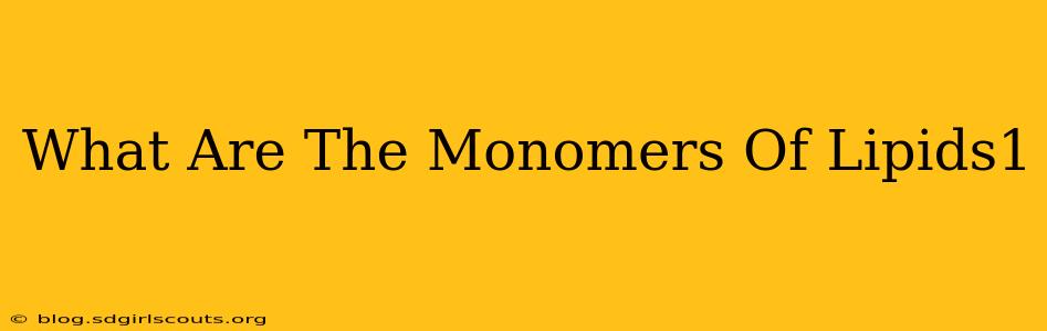 What Are The Monomers Of Lipids1