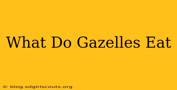 What Do Gazelles Eat