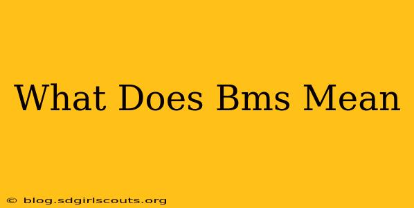 What Does Bms Mean