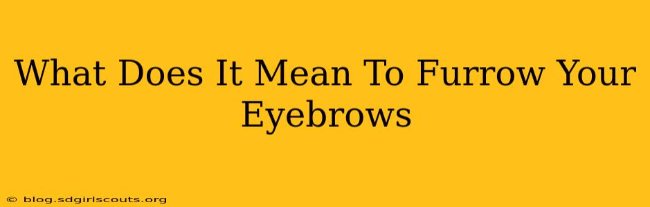 What Does It Mean To Furrow Your Eyebrows