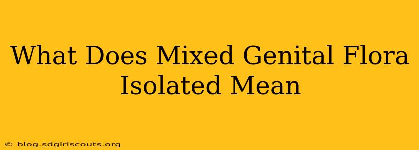 What Does Mixed Genital Flora Isolated Mean