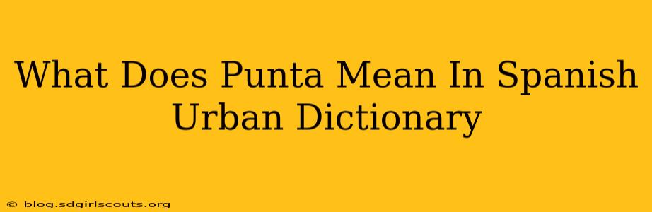 What Does Punta Mean In Spanish Urban Dictionary