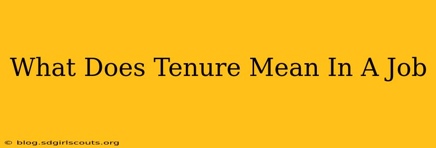 What Does Tenure Mean In A Job