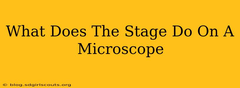 What Does The Stage Do On A Microscope