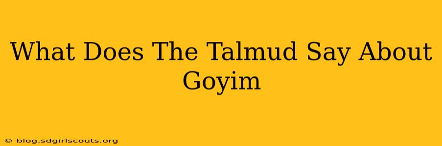 What Does The Talmud Say About Goyim