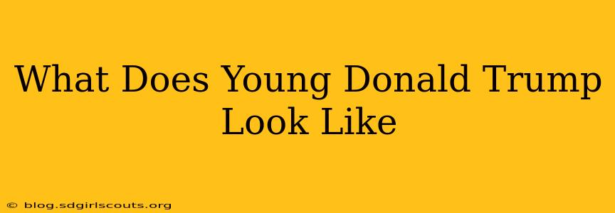 What Does Young Donald Trump Look Like