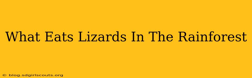 What Eats Lizards In The Rainforest