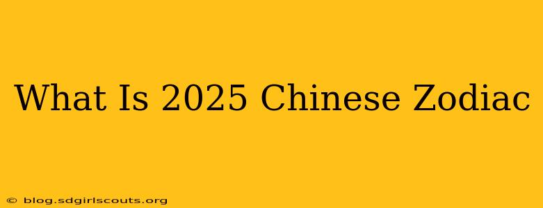 What Is 2025 Chinese Zodiac