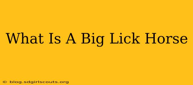 What Is A Big Lick Horse