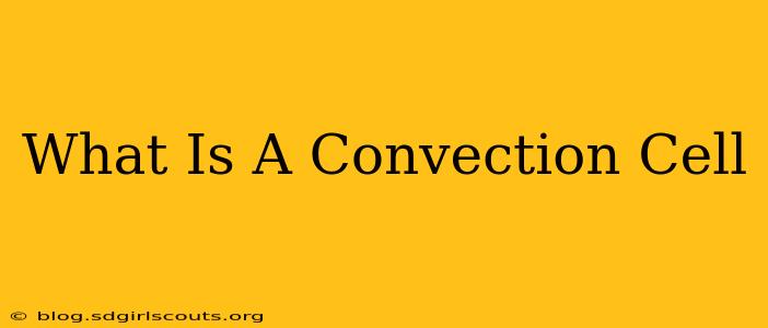 What Is A Convection Cell