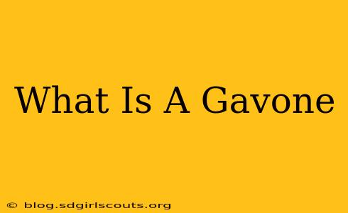 What Is A Gavone