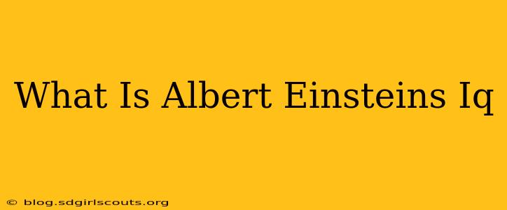 What Is Albert Einsteins Iq