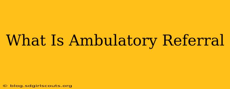 What Is Ambulatory Referral