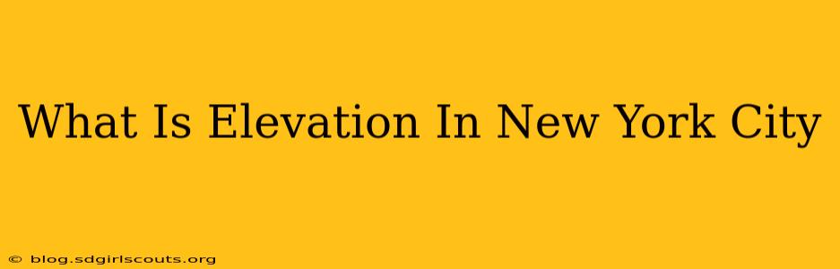 What Is Elevation In New York City