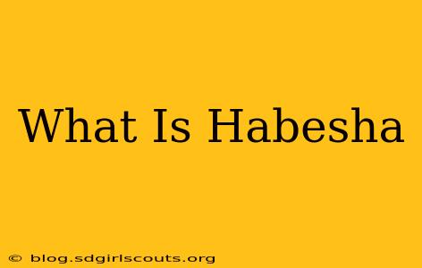 What Is Habesha