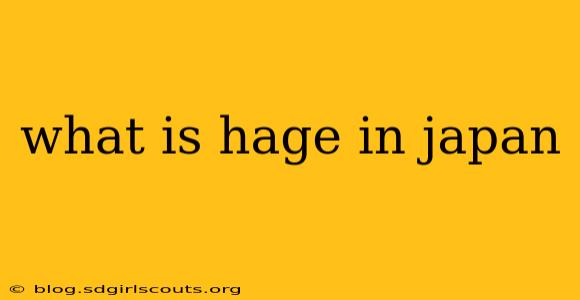 what is hage in japan