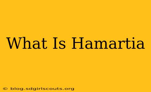 What Is Hamartia
