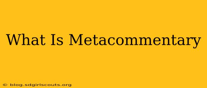 What Is Metacommentary
