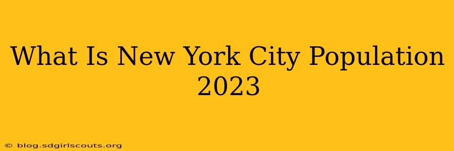 What Is New York City Population 2023