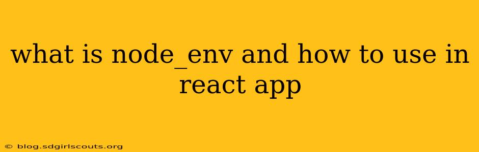 what is node_env and how to use in react app