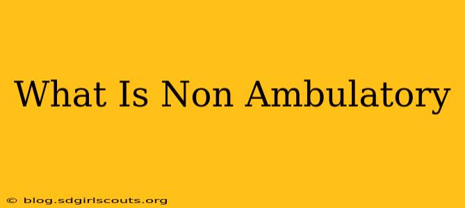 What Is Non Ambulatory
