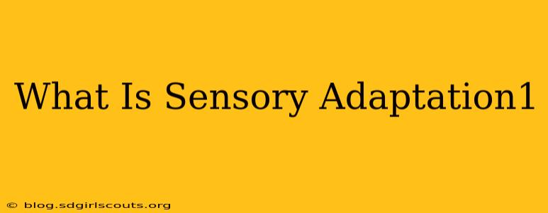 What Is Sensory Adaptation1