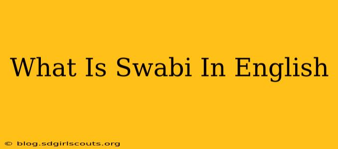 What Is Swabi In English